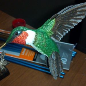 Morning Glory - Hummingbird