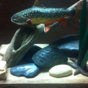 Brook Trout Scene