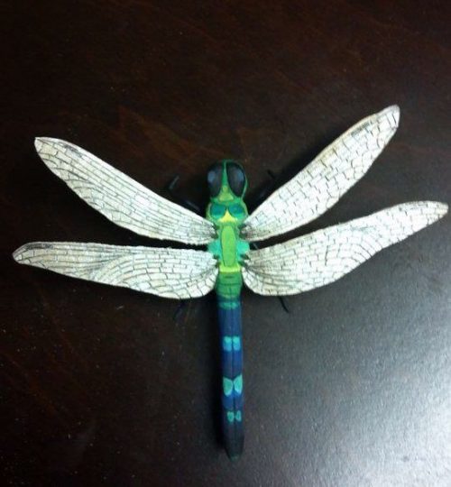 Custom Dragonfly