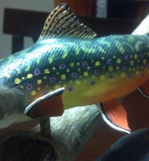 Brook Trout Mounting